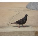 간판나라 이미지