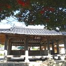백아사 | 전라도정자기행-함평군 정자-월야면編