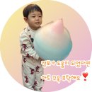 광동 경옥고 vs 동아 경옥고 먹어본 상세한 후기