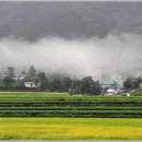 곡촌 이미지