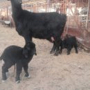 이천제이농장 이미지