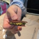 행복한동행 전의 태권도장 | [이집트 세미패키지여행 내돈내산] 친구와 함께한 7박 9일의 이집트 여행기 시작