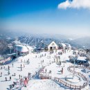 비고리조트 12 이미지