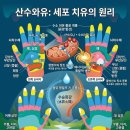 산수와유 이미지