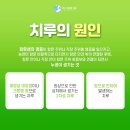 미사위대항의원 이미지