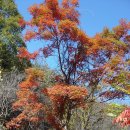 ■ 감악산(紺嶽山,675m)산행 이미지