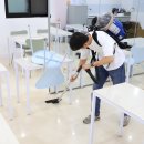 에덴크린