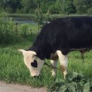 우리 모두 예술가 이미지