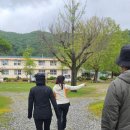 엄정초 목계분교 이미지