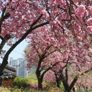 월곡역사공원 이미지