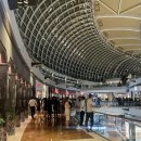 엠오바이오 이미지