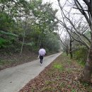 서해랑길 79코스 이미지