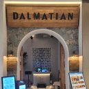 모던펫코리아 이미지