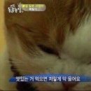 별이안은바다