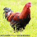 현내농장 이미지