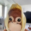 똥돼지 - 강북구 노해로 55 | 똥돼지