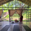 웰빙요가(오전) | 발리 자유여행 우붓 가볼만한곳 요가체험 요가반 추천