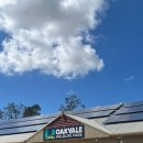 캥거루 동물병원 | 시드니 5일차 (포트스테판 지그재그 투어 내돈내산 후기, 소주 가격)