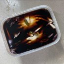 청자복음수산 이미지