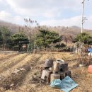 강하우체국 이미지