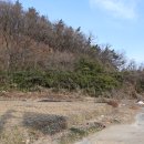 오케이부동산중개사무소 이미지