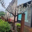 해오름황토민박 이미지