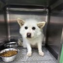 거룡1길 25, (용산동) 이미지