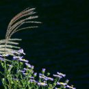 곰배령 길목에서 이미지