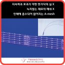 헤세드의원 이미지