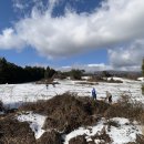 금성목장 이미지