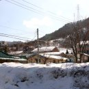 명태덕장 이미지