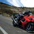 MOTOR KING 이미지