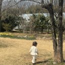 아기옷 - 자라 크로셰, 상하의, 던스 게더 원피스 86, 레브주 모니카 수트, 큐피트 머리핀, 레인부츠 추천
