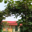 길원농장 이미지