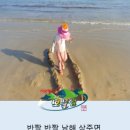 상주은모래비치 이미지