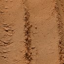 셰이크로그 이미지