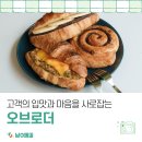 오브로더 이미지