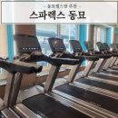 미라클 휘트니스 | 동대문헬스장 동묘PT 스파렉스동묘점 PT후기