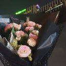 크리스탈플레르