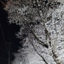 마성면행정복지센터 이미지