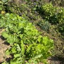 유촌농장 이미지