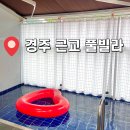 경주 독채 풀빌라 펜션 모던풀빌라: 가성비 좋은 개별 수영장 내돈내산 후기