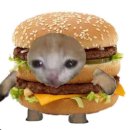 해피마니