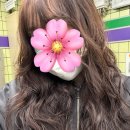 스타일헤어 이미지