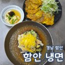 힘냉면 | 함안뚝방길 근처 맛집 함안냉면 내돈내산 육전 후기