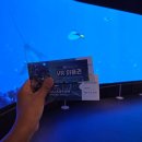 뽀뽀유성상어켄넬 | 대전세종 아기랑 2박3일 여행 _ 둘째날 기록 대전엑스포아쿠아리움 할인방법 및 공연시간