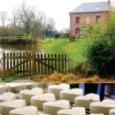 백조농장(2) 이미지