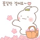 쑥골어린이도서관 네이버블로그