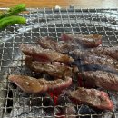 춘천로138번길 | 춘천 가야갈매기 _ 춘천 노포 로컬 고깃집 추천 내돈내산 후기
