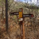 태백고원 700 산소길 이미지